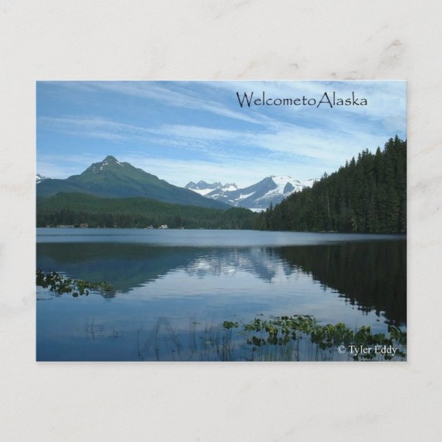 alaska postcard (Front)