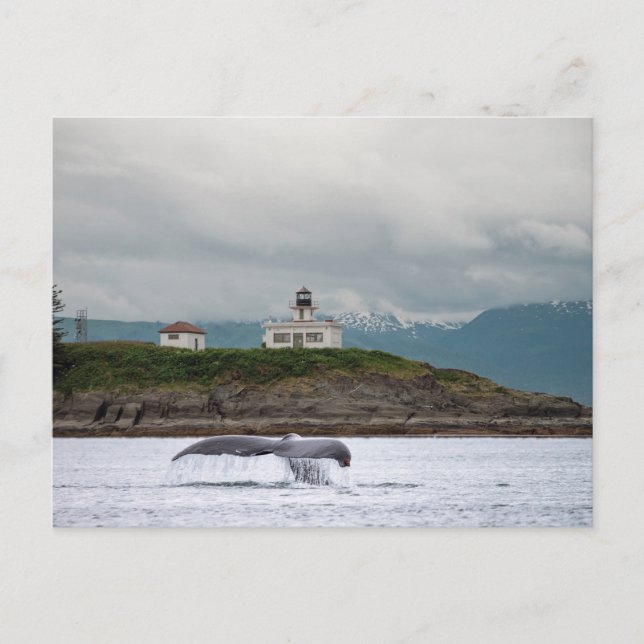 Alaska Postcard (Front)