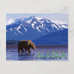 Alaska Postcard