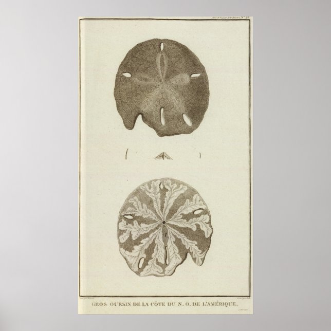 Alaska Poster (Front)