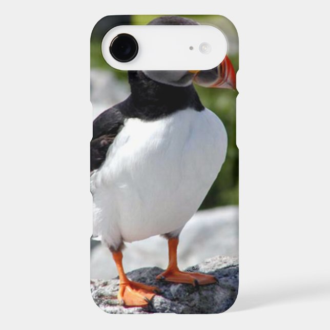 Alaska Puffin Colourful Birds Case-Mate iPhone Case (Back)