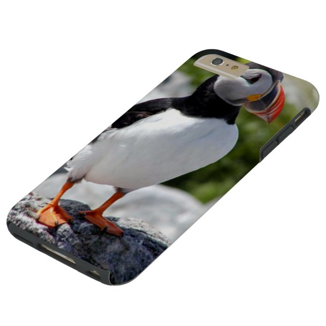 Alaska Puffin Colourful Birds Case-Mate iPhone Case (Top)