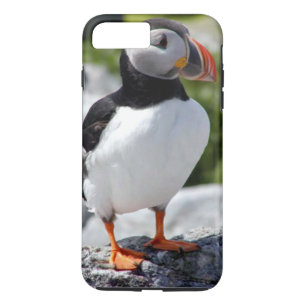 Alaska Puffin Colourful Birds iPhone 8 Plus/7 Plus Case