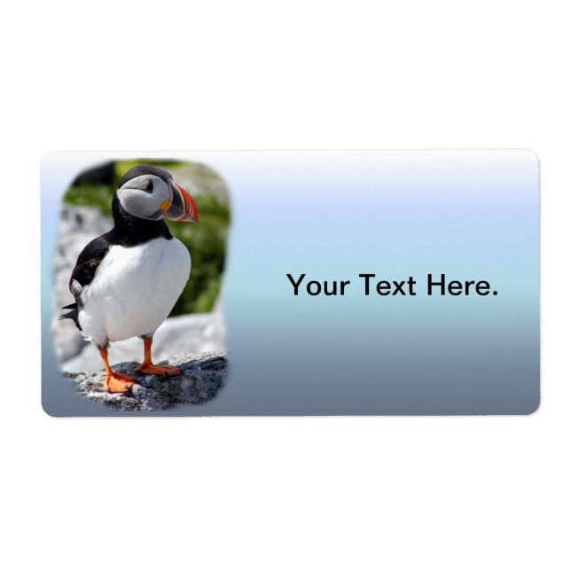 Alaska Puffins Feathered Colourful Birds (Front)