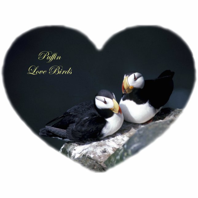 Alaska Puffins Feathered Colourful Birds Photo Sculpture Key Ring (Front)