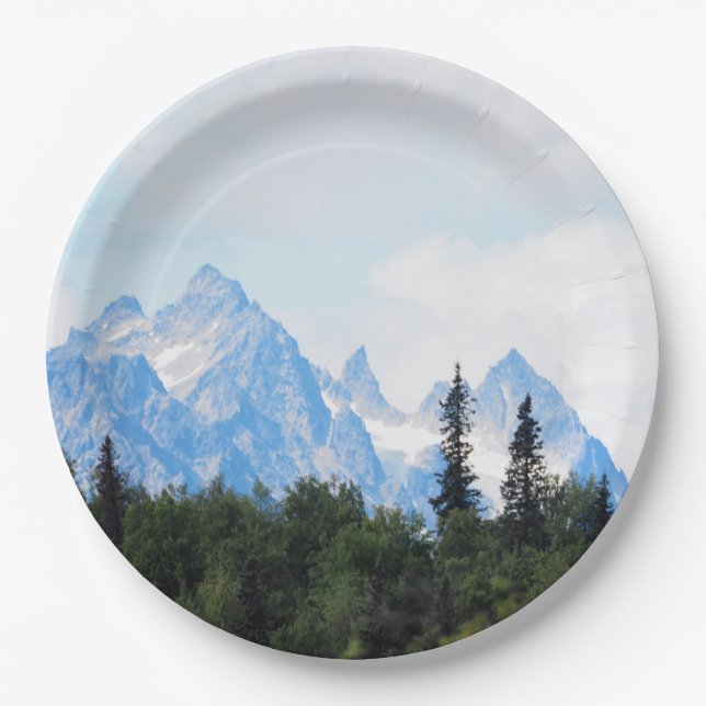 Alaska Range Mountain Landscape Photo Paper Plate (Front)