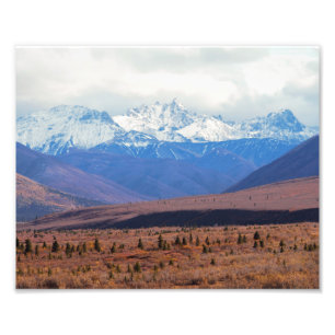 Alaska, Snowy Mountains, Fall Foothills, Denali Photo Print