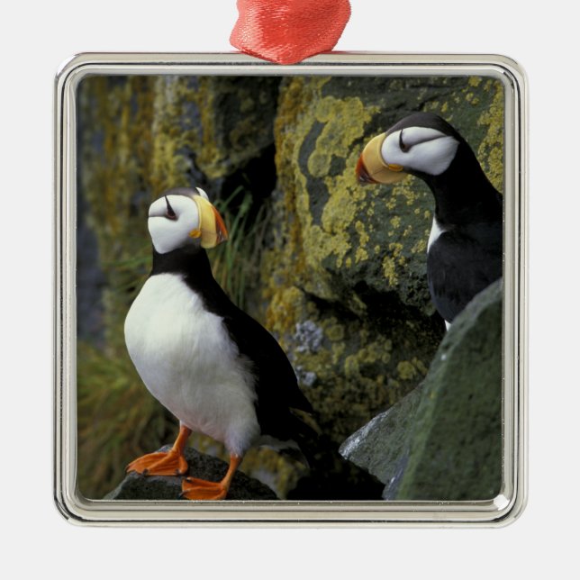 Alaska, St. Paul Island, the Pribilofs, horned Metal Tree Decoration (Front)