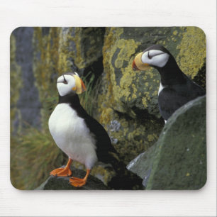Alaska, St. Paul Island, the Pribilofs, horned Mouse Mat