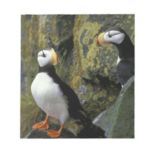 Alaska, St. Paul Island, the Pribilofs, horned Notepad