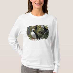 Alaska, St. Paul Island, the Pribilofs, horned T-Shirt