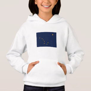 Alaska State Flag