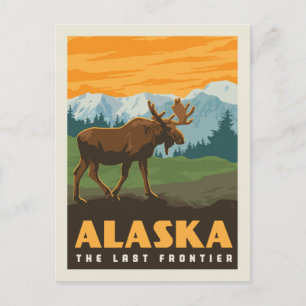 Alaska   The Last Frontier - Moose Postcard