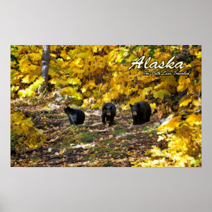 Alaska The Path Less Travelled Poster