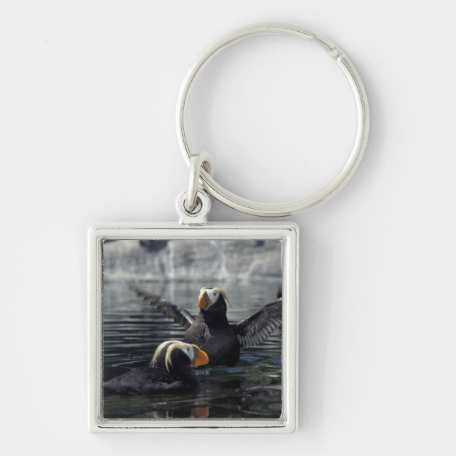 Alaska Tufted puffins Key Ring (Front)