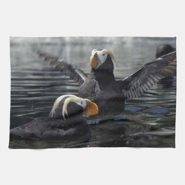 Alaska Tufted puffins Tea Towel (Horizontal)