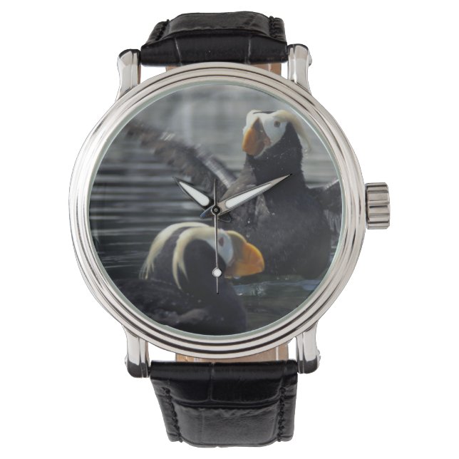 Alaska Tufted puffins Watch (Front)