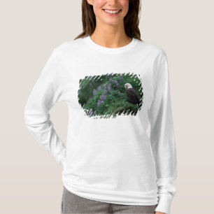 Alaska, Unalaska Island Bald Eagle among Nootka T-Shirt