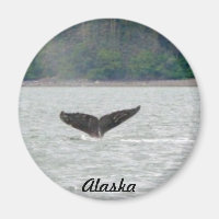 Alaska Whale Tail