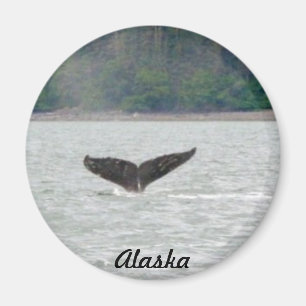 Alaska Whale Tail Magnet