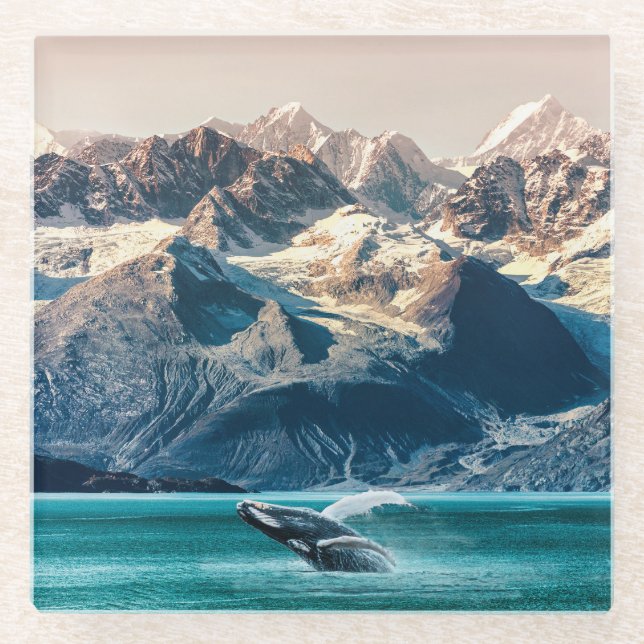 Alaska whale watching: boat excursion. glass coaster (Front)