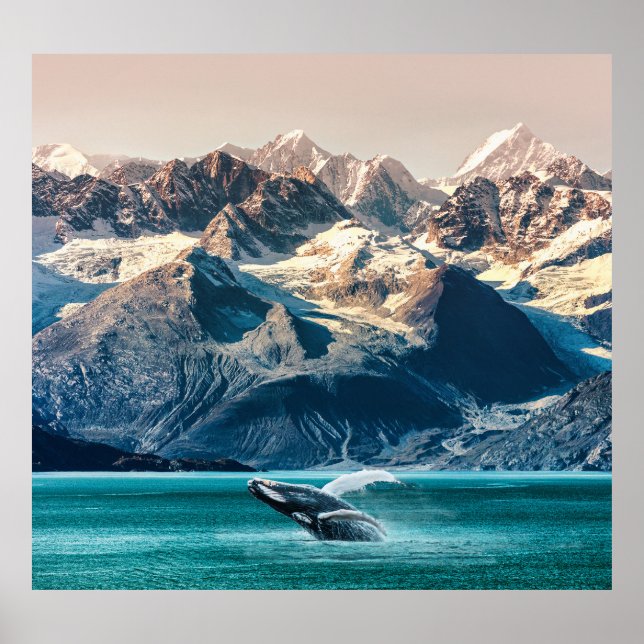 Alaska whale watching: boat excursion. poster (Front)