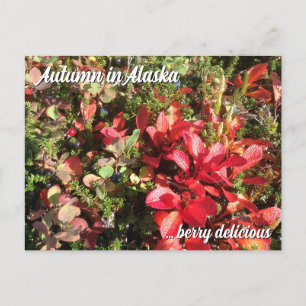 Alaska Wildberry Postcard