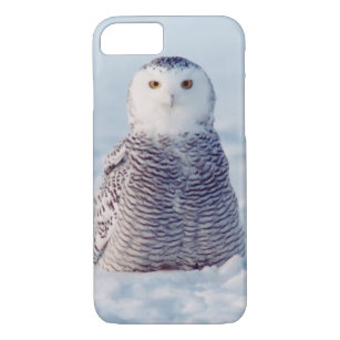 Alaska Wildlife Arctic Snowy Owl Case