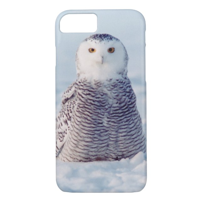 Alaska Wildlife Arctic Snowy Owl Case (Back)