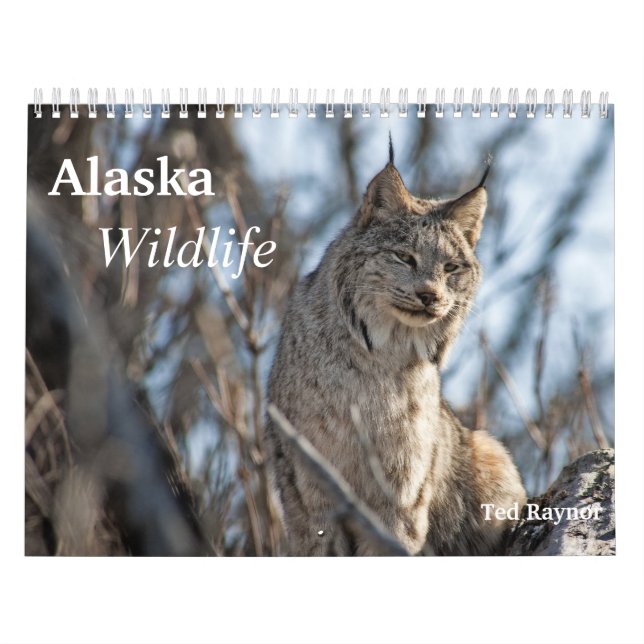 Alaska Wildlife Calendar (Cover)