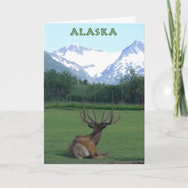 Alaska Wildlife Conservation Centre - card (Front)