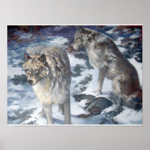 Alaska Wolf Pair during winter poster