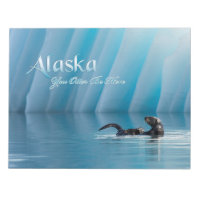 Alaska-You Otter Be Here