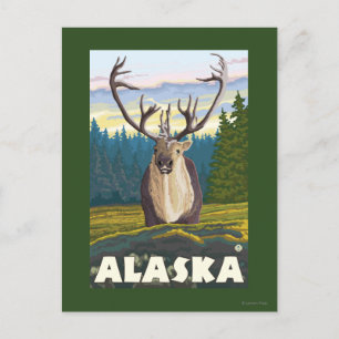 AlaskaCaribou in the Wild Vintage Travel Postcard