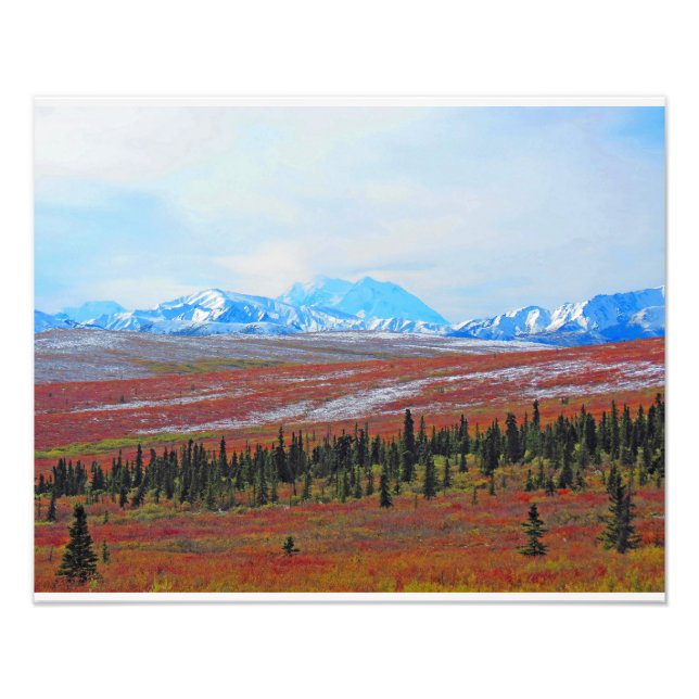 Alaskan Adventure-Denali- Landscape #3 Photo Print (Front)