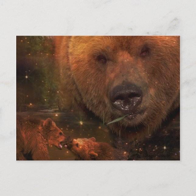 Alaskan Bear with Cubs Postcard (Front)