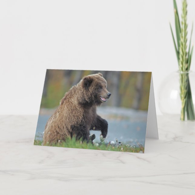 Alaskan Brown Bear at Kenai NWR Card (Front)