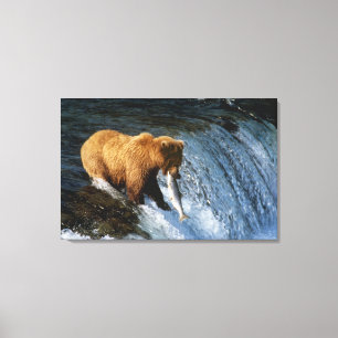 Alaskan Brown Bear Catching Salmon at Brooks Canvas Print
