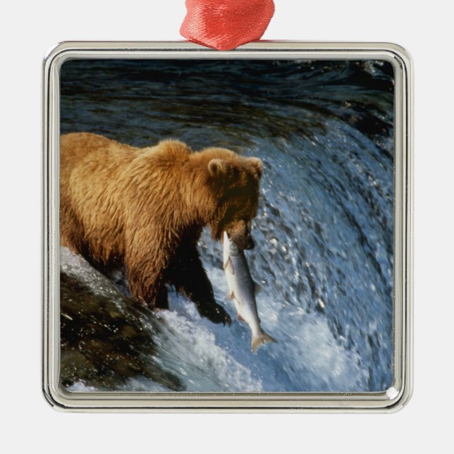 Alaskan Brown Bear Catching Salmon at Brooks Metal Tree Decoration (Front)