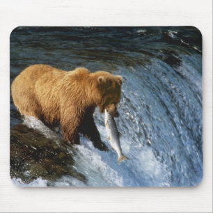 Alaskan Brown Bear Catching Salmon at Brooks Mouse Mat