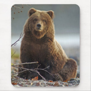 Alaskan Brown Bear in Kenai NWR Mouse Mat