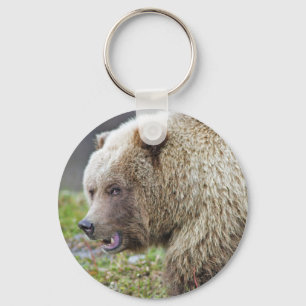 Alaskan Brown Bear Key Ring