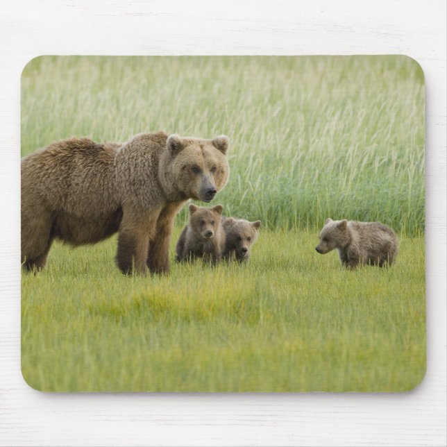 Alaskan Brown Bear Sow and three Cubs, Ursus Mouse Mat (Front)