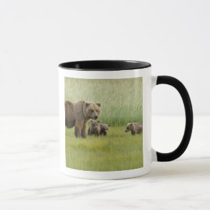 Alaskan Brown Bear Sow and three Cubs, Ursus Mug