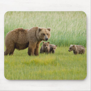 Alaskan Brown Bear with Cubs in a Meadow Mouse Mat