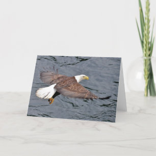 Alaskan Eagle Card
