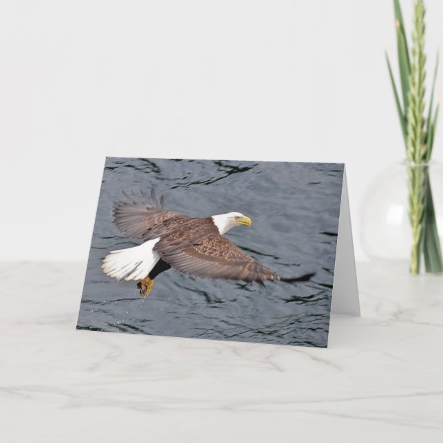 Alaskan Eagle Card (Front)