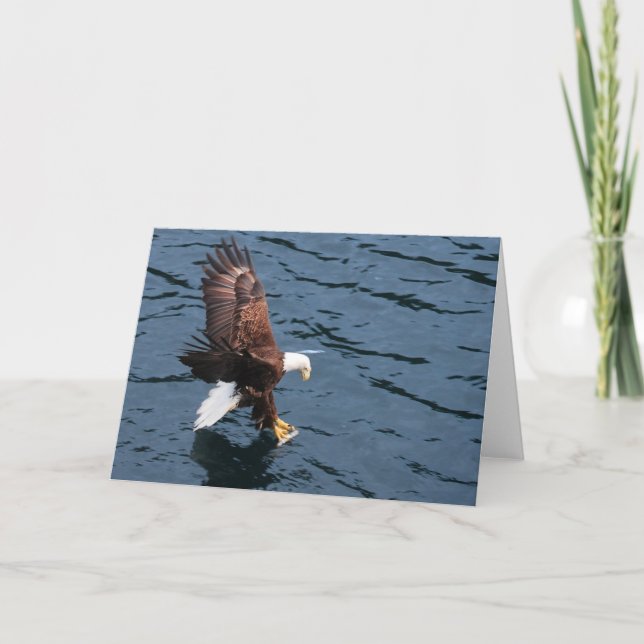 Alaskan eagle on water card (Front)