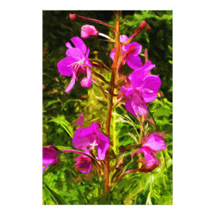 Alaskan Fireweed Pink Wildflower Abstract Photo Print