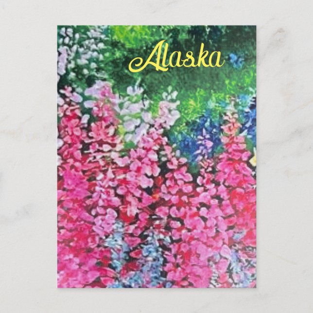 Alaskan Fireweed Postcard (Front)